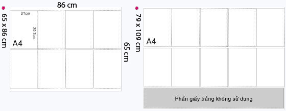 giayin 1