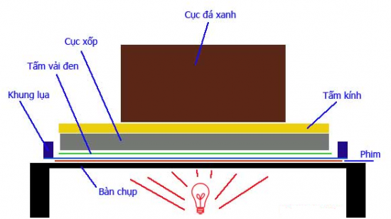 huong-dan-phoi-ban-in-lua-550x308