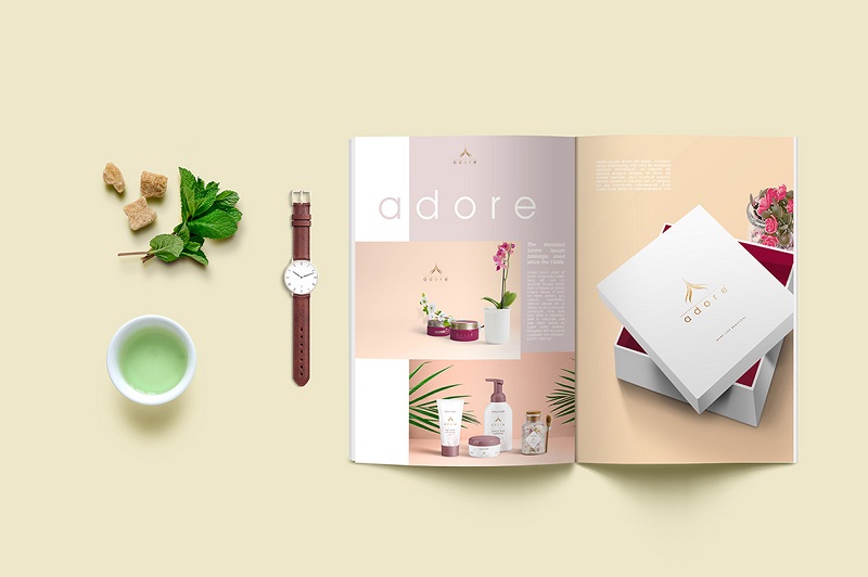thiet ke catalogue dep3